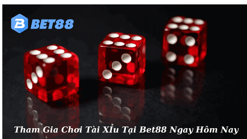 các tham gia chơi tài xỉu tại Bet88